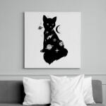 printfashion Cica univerzum - Vászonkép - Fehér (6634921)