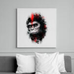 printfashion Majmok bolygója - Vászonkép - Fehér (6620381)