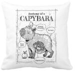 printfashion Capybara anatómia - Párnahuzat, Díszpárnahuzat - Fehér (13607024)