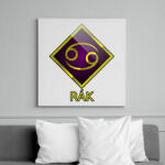 printfashion Rák - Vászonkép - Fehér (6638021)