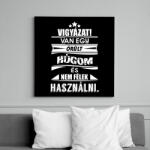 printfashion Van egy őrült húgom és. . . - Vászonkép - Fekete (6645716)