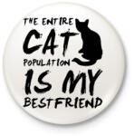 printfashion Macskabarát - Kitűző, hűtőmágnes - Fehér (3074633)