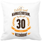 printfashion kamasz-30-brown-orange - Párnahuzat, Díszpárnahuzat - Fehér (597815)