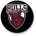 printfashion Bulls - Kitűző, hűtőmágnes - Fekete (3091190)