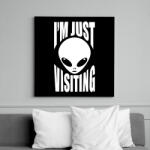 printfashion Látogatóban - Vászonkép - Fekete (6648164)