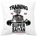 printfashion Training To Go Super Saiyan - Párnahuzat, Díszpárnahuzat - Fehér (950846)