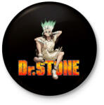 printfashion Dr. Stone - Senku - Kitűző, hűtőmágnes - Fekete (14862595)