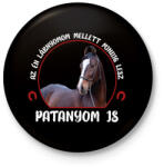 printfashion Patanyom - Kitűző, hűtőmágnes - Fekete (7491103)