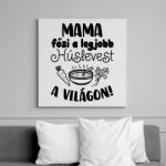 printfashion Mama főzi a legjobb húslevest a világon! - Vászonkép - Fehér (16571784)