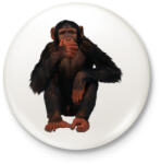 printfashion Vicces Csimpánz - Kitűző, hűtőmágnes - Fehér (3081301)