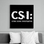 printfashion csi-1-1-white - Vászonkép - Fekete (6644952)