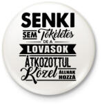 printfashion Tökéletes lovasok - Kitűző, hűtőmágnes - Fehér (13998657)