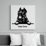 printfashion Cane Corso - Vászonkép - Fehér (6637272)