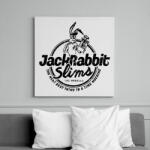 printfashion Jackrabbit - Vászonkép - Fehér (6628560)