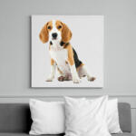 printfashion Beagle kutyás póló minta - Vászonkép - Fehér (6624469)