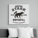 printfashion Trónok harca: Stark house - Vászonkép - Fehér (6621847)
