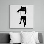 printfashion Cicus zsebben - Vászonkép - Fehér (6631797)