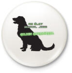 printfashion Golden retriever - Kitűző, hűtőmágnes - Fehér (13986362)