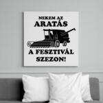 printfashion aratas fesztival - Vászonkép - Fehér (6627286)