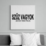 printfashion Szűz vagyok, ja nem! - Vászonkép - Fehér (6631025)