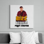 printfashion bízz bennem profi vagyok - Vászonkép - Fehér (6629148)