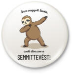 printfashion Nem vagyok lusta - Lajháros - Kitűző, hűtőmágnes - Fehér (6593527)