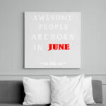 printfashion A legkúlabb emberek júniusban születnek - úgy mint én - Vászonkép - Fehér (6626202)