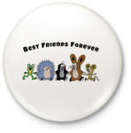 printfashion Kisvakond - BFF - Kitűző, hűtőmágnes - Fehér (4583932)