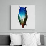 printfashion Bagoly absztrakt - Vászonkép - Fehér (6637673)