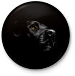 printfashion Labrador portré - Kitűző, hűtőmágnes - Fekete (4898757)
