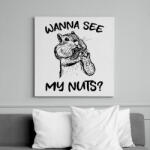 printfashion Wanna see my nuts? - Vászonkép - Fehér (13550459)