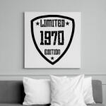 printfashion 1970 - Vászonkép - Fehér (11913514)