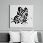 printfashion Lepke / Pillangó rajz - Vászonkép - Fehér (16689312)