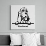 printfashion Angol véreb - Vászonkép - Fehér (6637262)