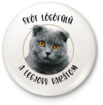 printfashion Skót lógófülű - Legjobb barát - Kitűző, hűtőmágnes - Fehér (7170872)