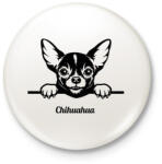 printfashion Chihuahua - Kitűző, hűtőmágnes - Fehér (5117918)