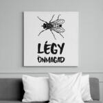 printfashion LÉGY ÖNMAGAD - Vászonkép - Fehér (10821142)