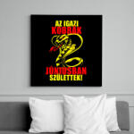 printfashion Júniusi Kobra - Vászonkép - Fekete (6661254)