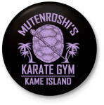 printfashion Zseniális teknős karate suli - Kitűző, hűtőmágnes - Fekete (3093582)
