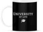 printfashion UNIVERSITY OF LIFE - Bögre - Fekete (792848)