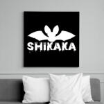 printfashion Shikaka - Vászonkép - Fekete (7698146)