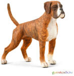 CollectA - Boxer