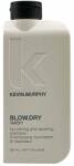 KEVIN.MURPHY Blow. Dry Wash Shampoo 250 ml