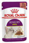 Royal Canin Feline Sensory Smell Gravy alutasak 85g
