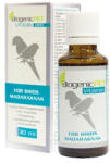 BiogenicPet Bird folyékony vitamin madaraknak 30 ml - pegazusallatpatika
