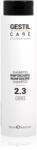 Gestil Care Professional 2.3 Reinforcing Shampoo 250 ml