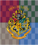  Harry Potter Hogwarts coral fleece polár takaró 120x150cm