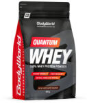 BodyWorld Quantum Whey 908 g