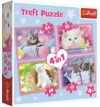 Trefl Pisici amuzante 4in1 (34396) Puzzle