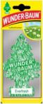 Wunder-Baum Everfresh (WB-10100)